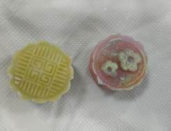 微信图片_20240913175933