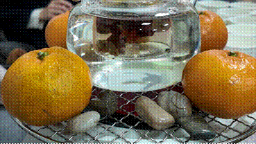 2024-12-01 20:41:24.717000